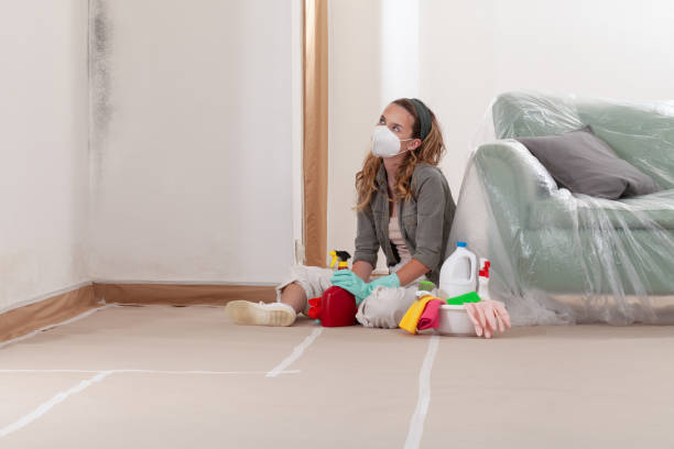 Reliable Mold Removal contractor in Wayland, MA by WQB Mold Removal